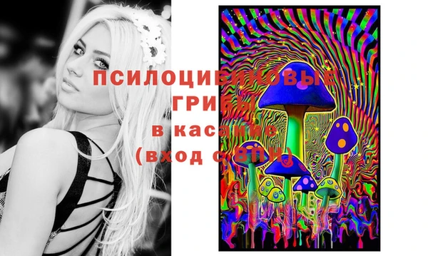 винт Алексин