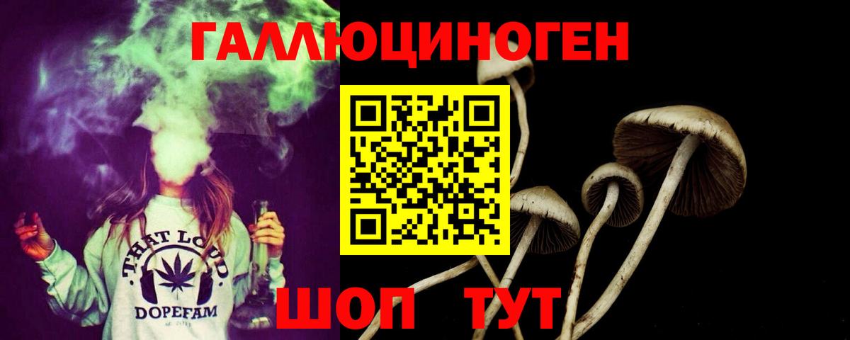 Псилоцибиновые грибы мицелий Родники